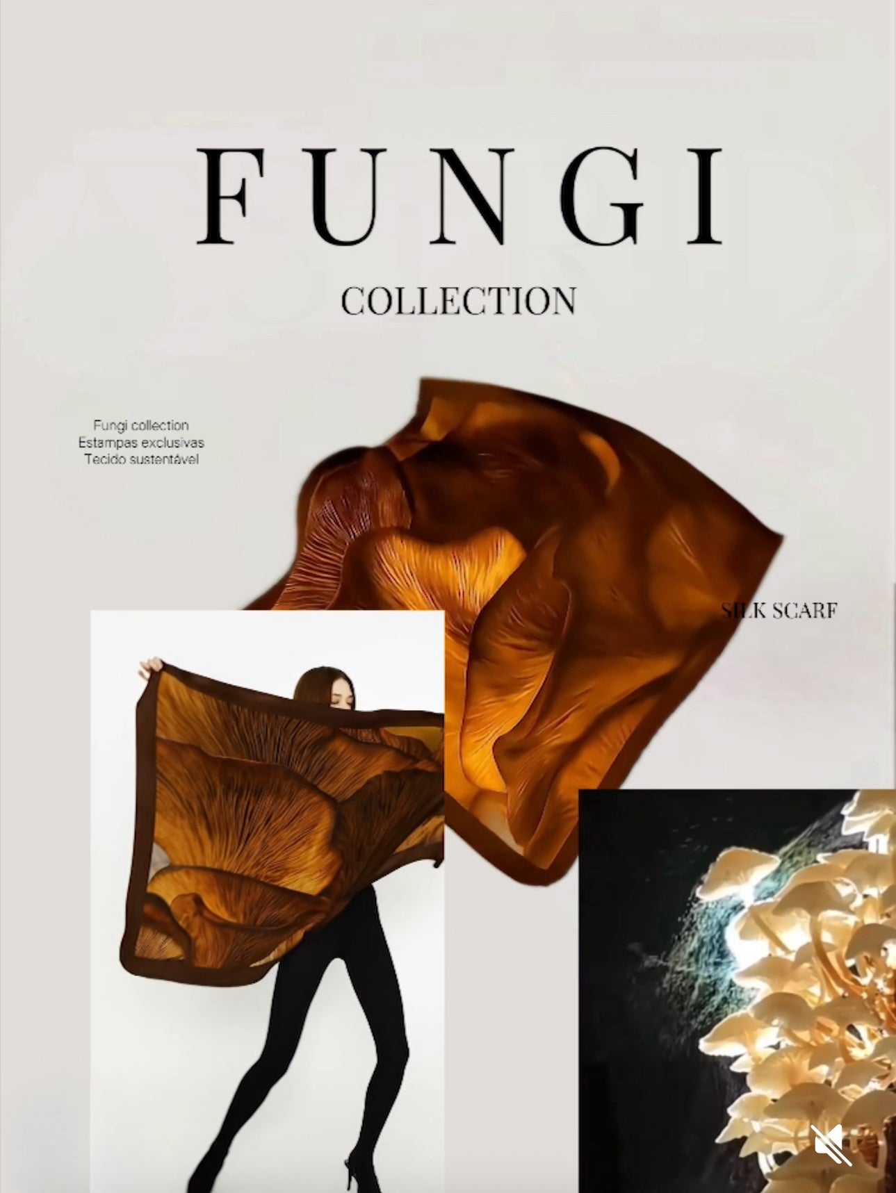 FUNGI COLLECTION
